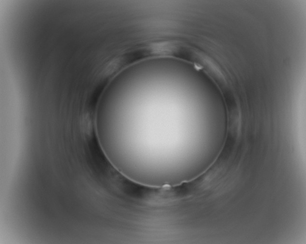 X0000114110329200910131348