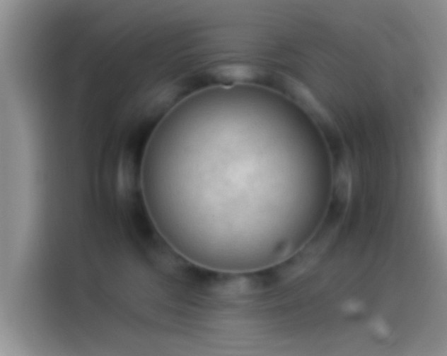 X0000114110330200910131348