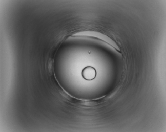 X0000114110336200910131347