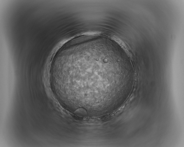 X0000114110337200910131347