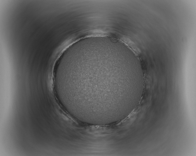 X0000114110338200910131347