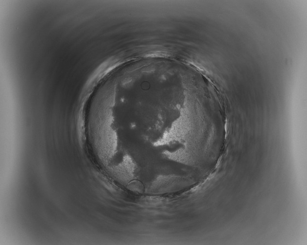 X0000114110339200910131347