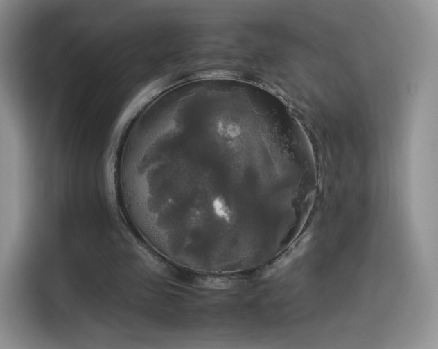 X0000114110341200910131347