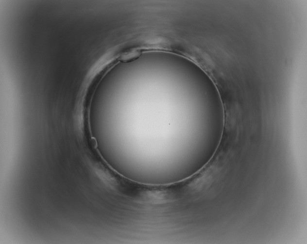 X0000114110344200910131347