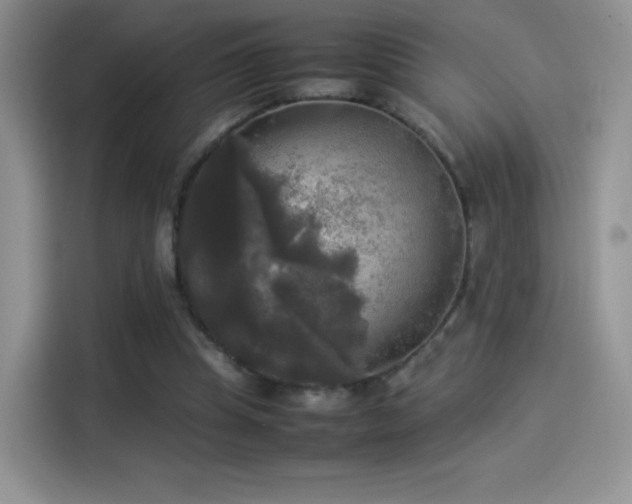 X0000114110345200910131347