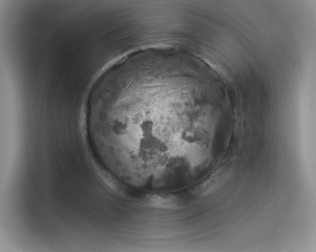 X0000114110346200910131347