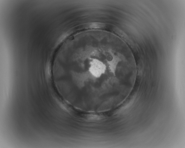 X0000114110347200910131347