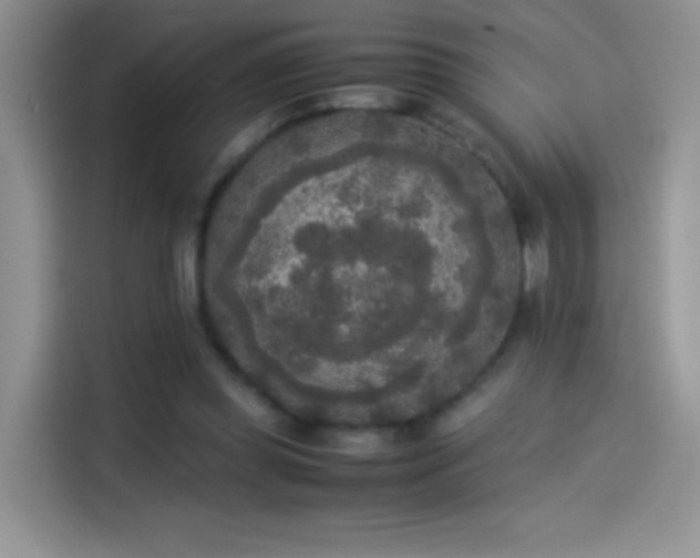 X0000114110349200910131347