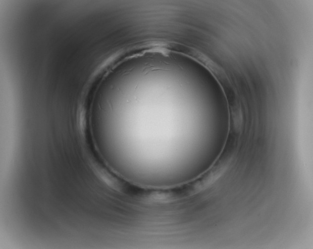 X0000114110350200910131347