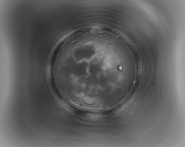 X0000114110351200910131347