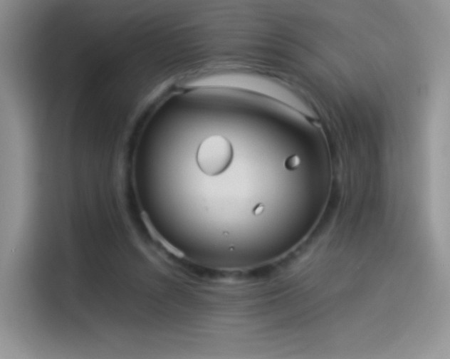 X0000114110352200910131347