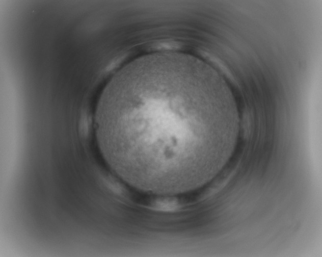 X0000114110355200910131347