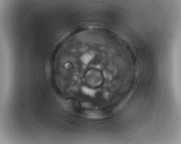 X0000114110359200910131347