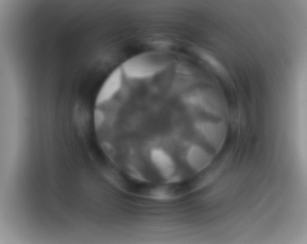 X0000114110365200910131347