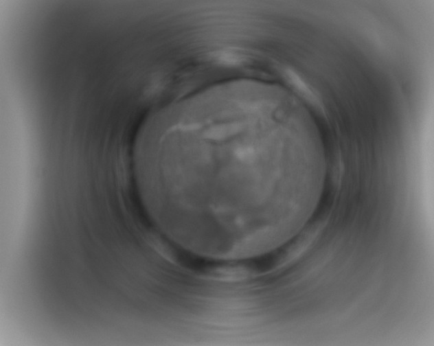 X0000114110366200910131347