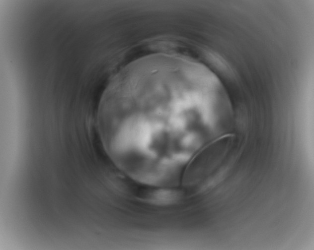 X0000114110371200910131347