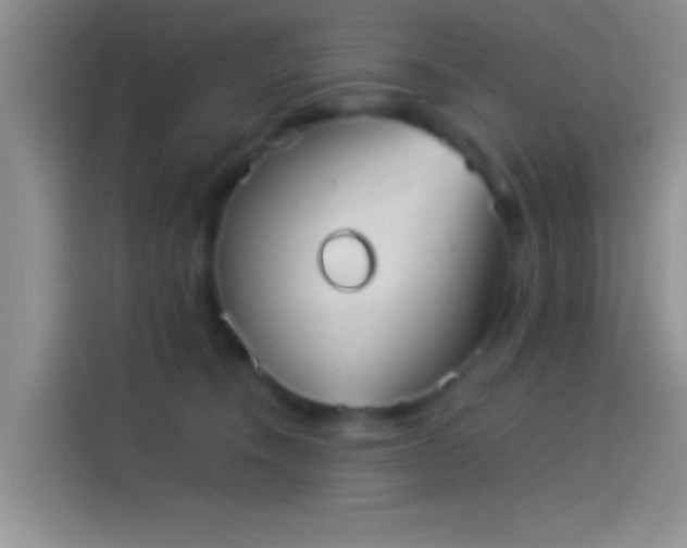 X0000114110372200910131347