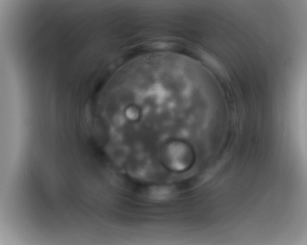 X0000114110373200910131347