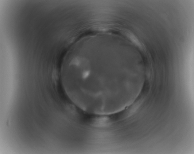 X0000114110374200910131347