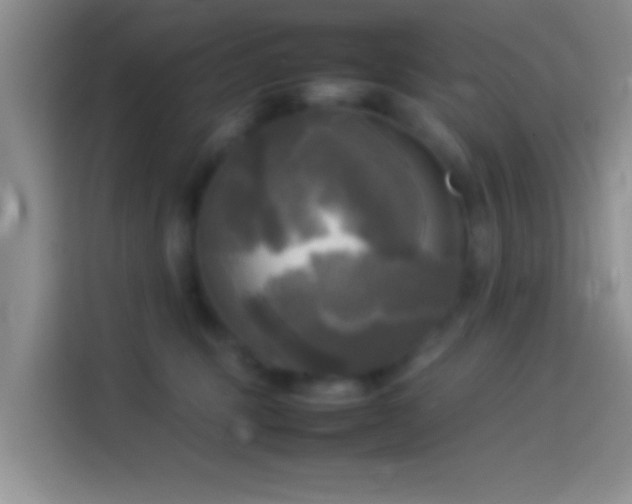 X0000114110375200910131347