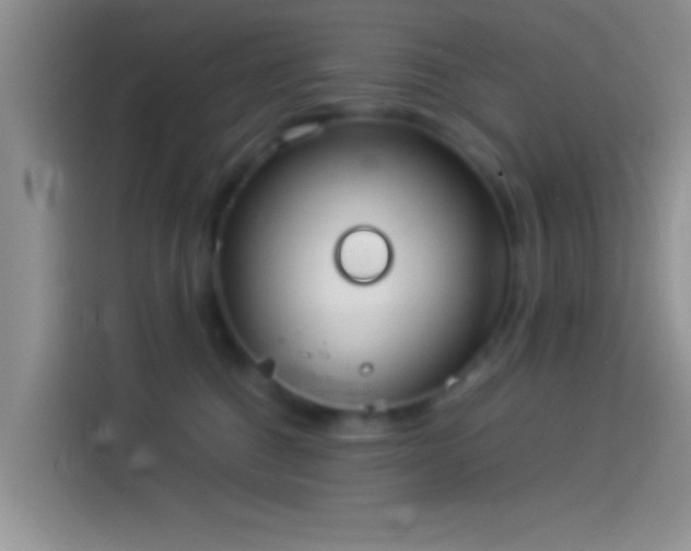 X0000114110376200910131347
