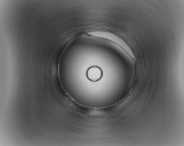 X0000114110380200910131347