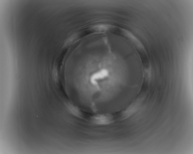 X0000114110381200910131347