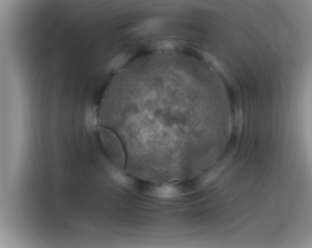 X0000114110383200910131347