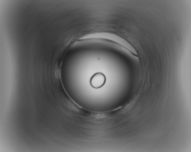 X0000114110384200910131347