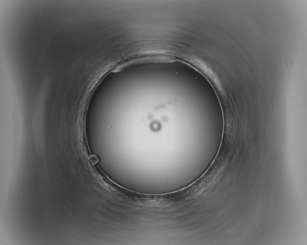 X0000114110385200910131347