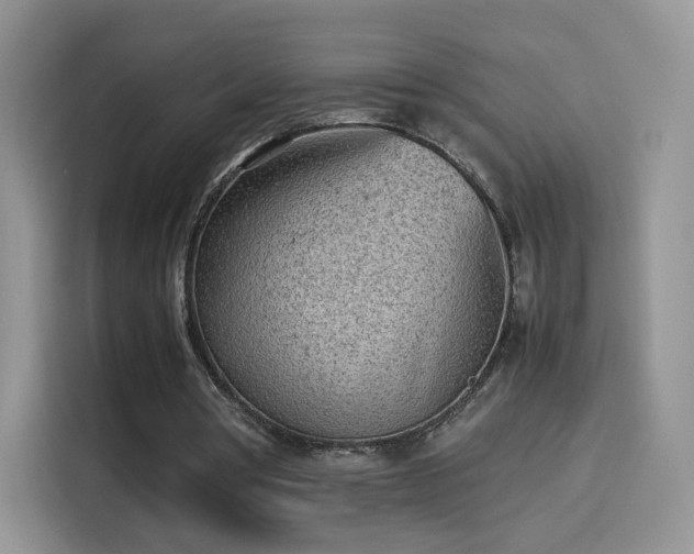X0000114110386200910131347