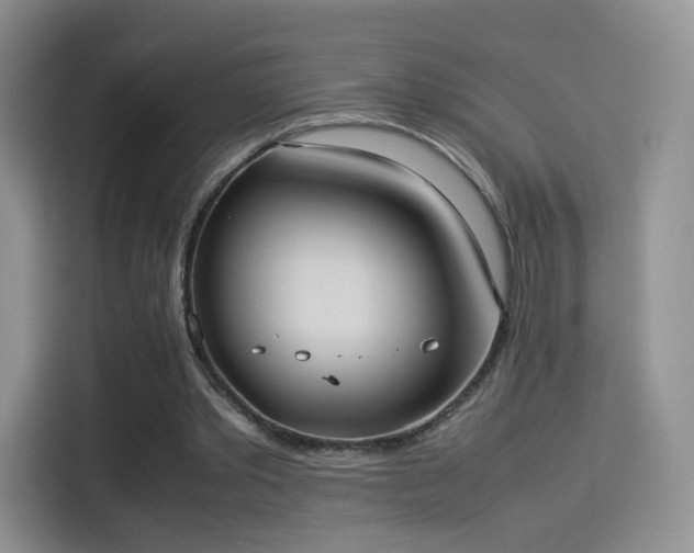 X0000114110389200910131347
