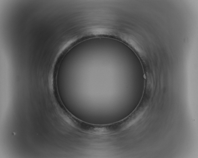 X0000114110391200910131347