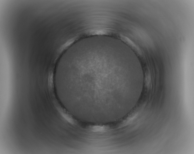 X0000114110394200910131347