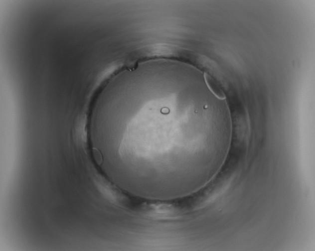 X0000114110395200910131347