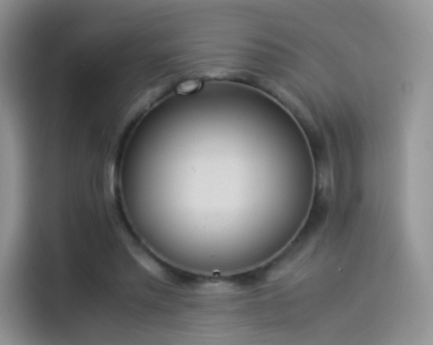 X0000114110397200910131347