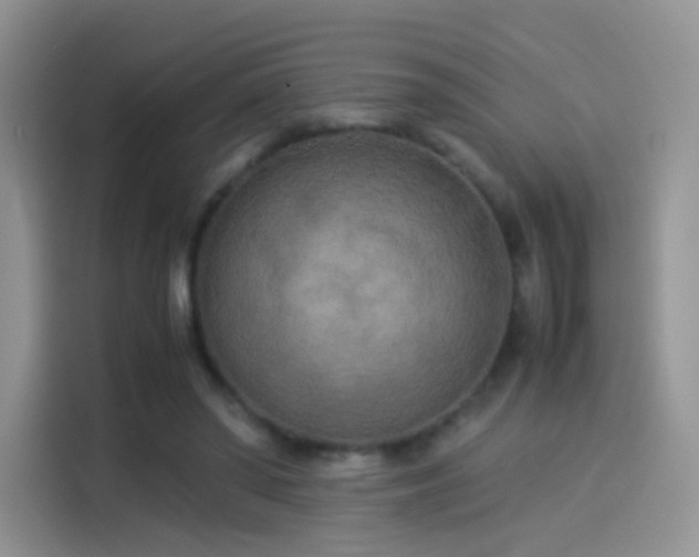 X0000114110398200910131347