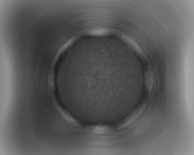 X0000114110400200910131347