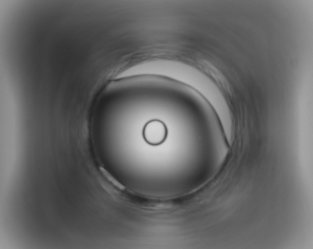 X0000114110401200910131347