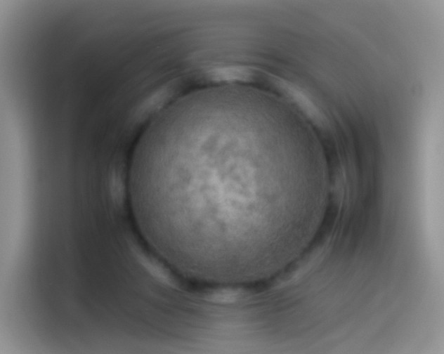 X0000114110402200910131347