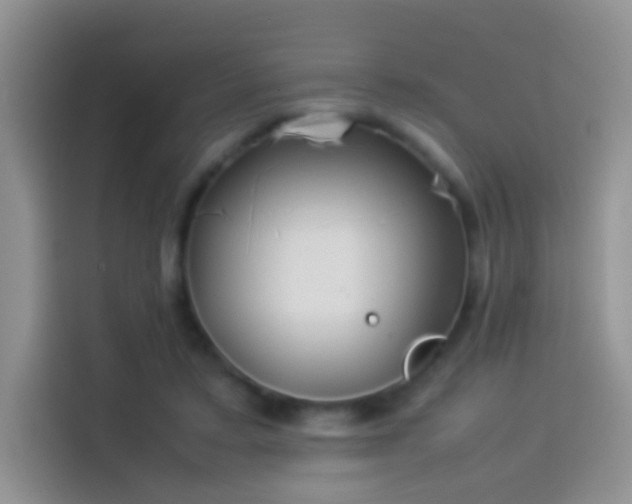 X0000114110403200910131347