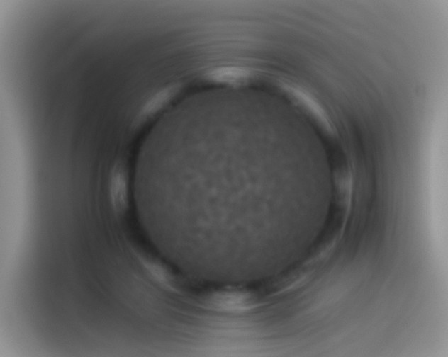 X0000114110404200910131347