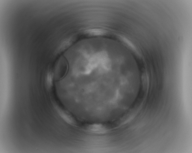X0000114110406200910131347