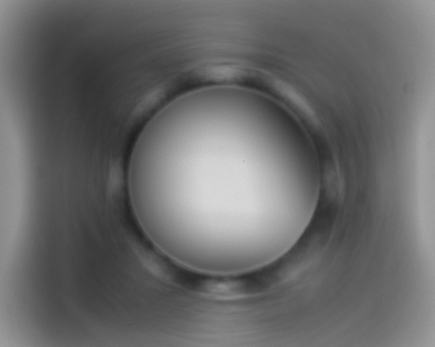X0000114110407200910131347