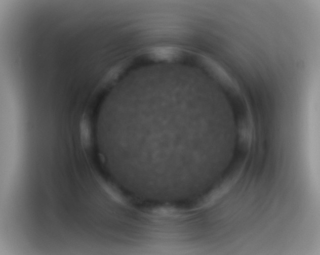X0000114110408200910131347