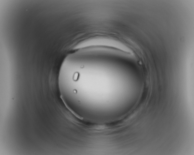 X0000114110409200910131347
