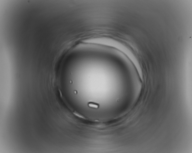 X0000114110411200910131346