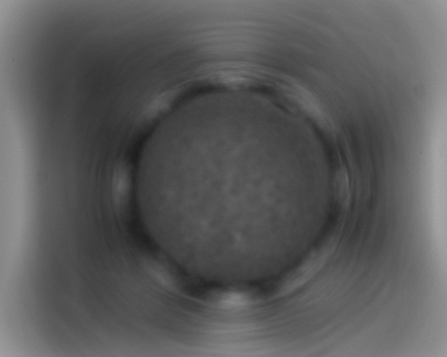 X0000114110412200910131346