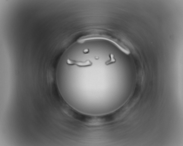 X0000114110413200910131346