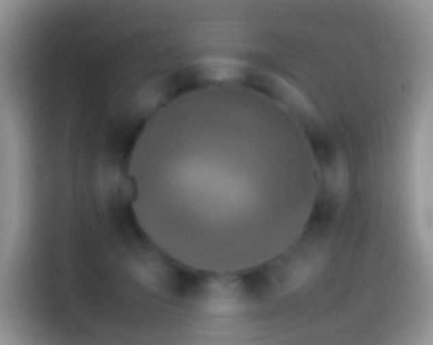 X0000114110415200910131346
